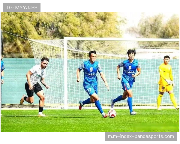 米内罗与拉唐盖伊组成三叉戟 申花锋线冲击力升级